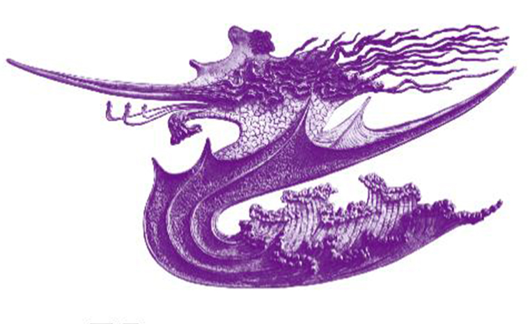 Verein für Fraueninteressen